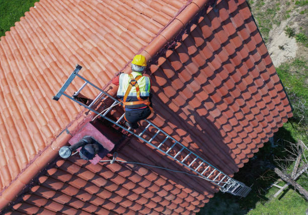 Best Roof Moss and Algae Removal  in Pleasant Prairie, WI